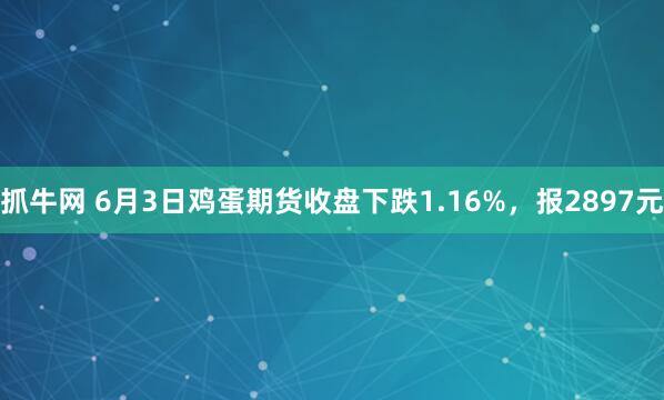 抓牛网 6月3日鸡蛋期货收盘下跌1.16%，报2897元