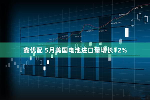 鑫优配 5月美国电池进口量增长12%