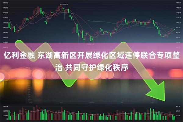 亿利金融 东湖高新区开展绿化区域违停联合专项整治 共同守护绿化秩序