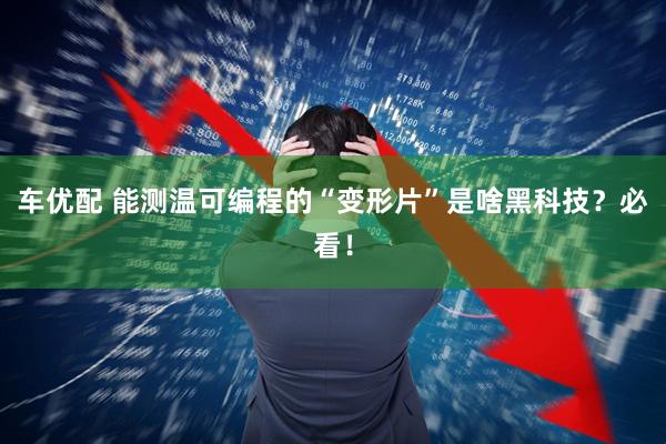 车优配 能测温可编程的“变形片”是啥黑科技？必看！