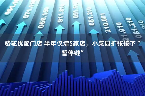 骆驼优配门店 半年仅增5家店，小菜园扩张按下“暂停键”