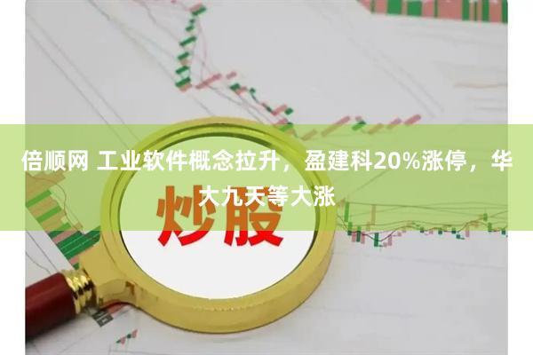 倍顺网 工业软件概念拉升，盈建科20%涨停，华大九天等大涨
